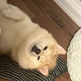 리뷰 작성자