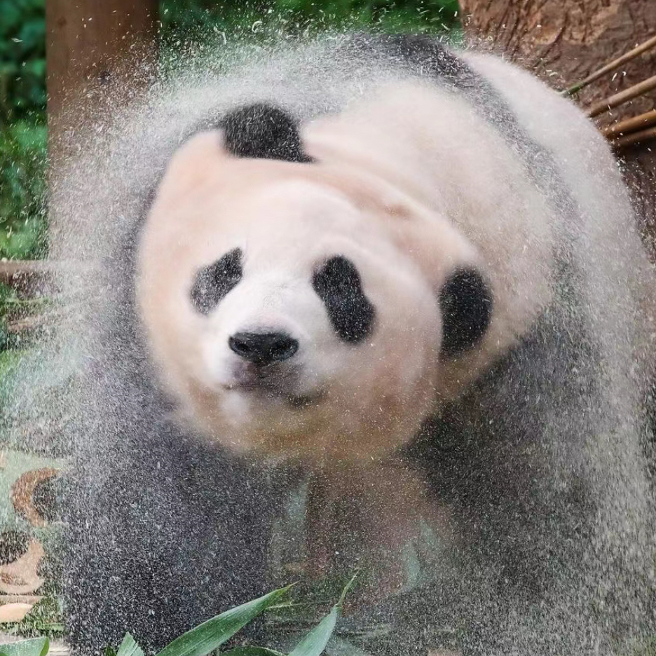 리뷰어 섬네일