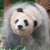 리뷰 작성자