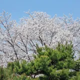 리뷰 작성자