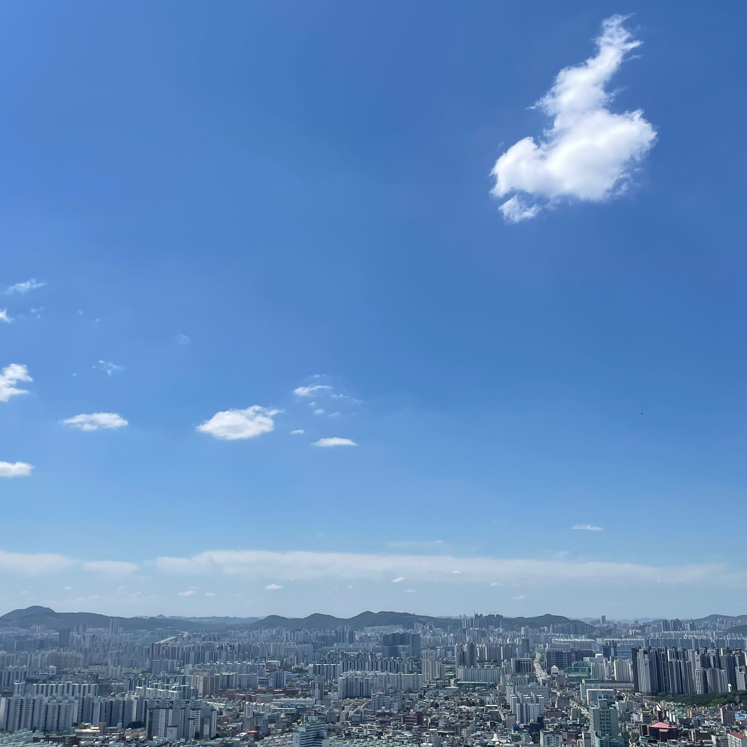리뷰어 섬네일