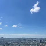 리뷰 작성자