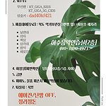 룸타입 섬네일